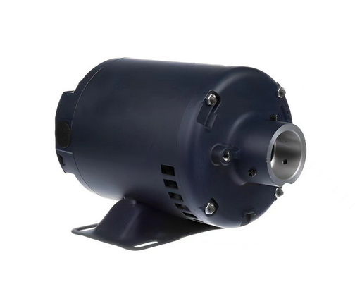 AC van het de Filter Algemene Doel van de braadpanolie Motorenac de Motor 1/3hp UL van de Enige Fasepomp